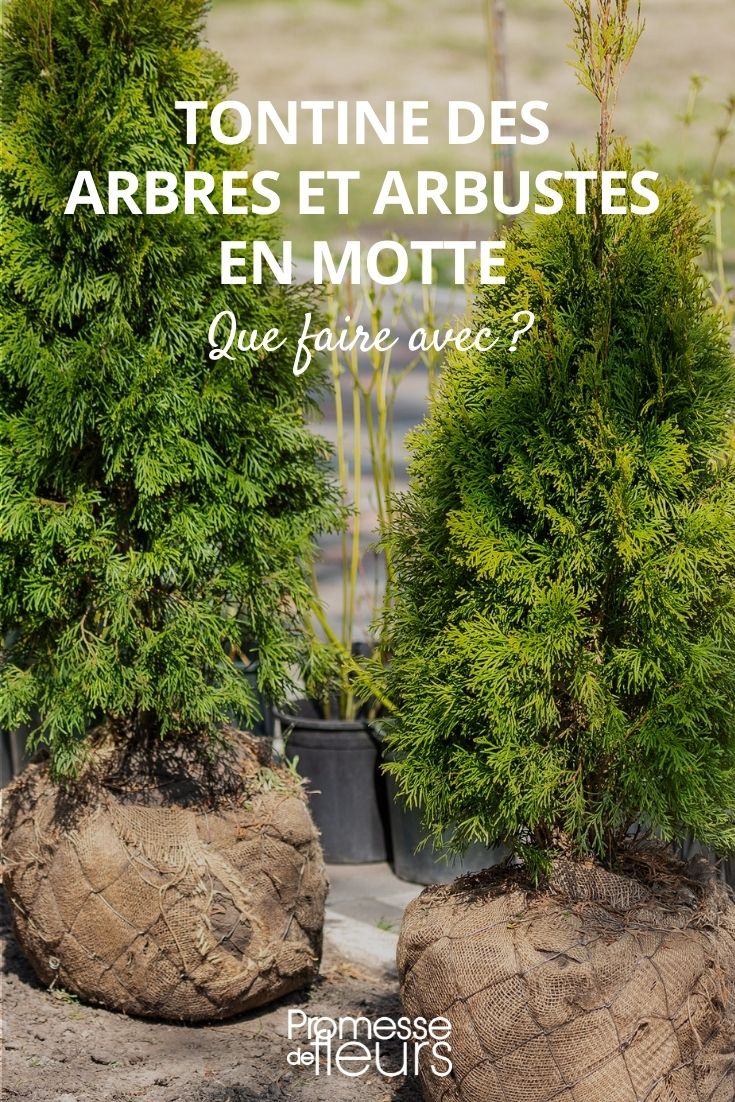 tela de juta torrão plantas plantação
