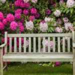 9 conselhos de paisagista para criar um jardim cor-de-rosa