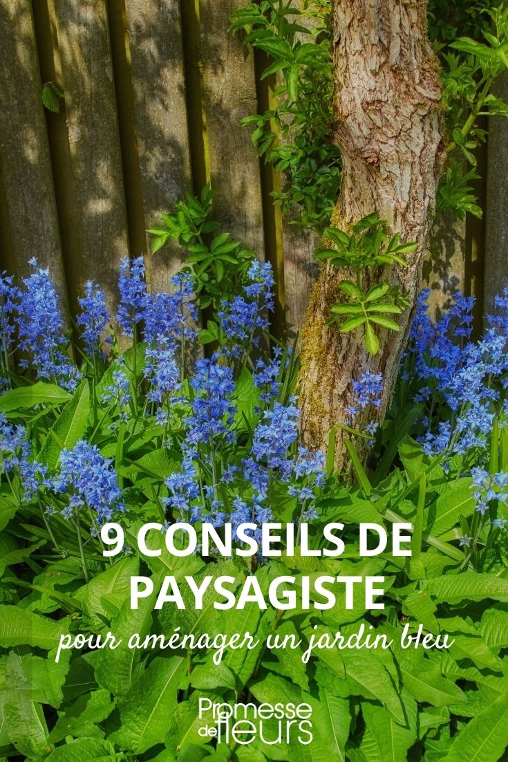 criar um jardim azul