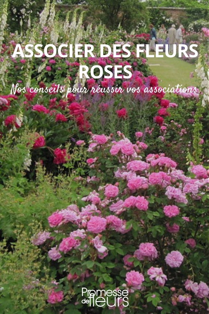 associar flores cor-de-rosa