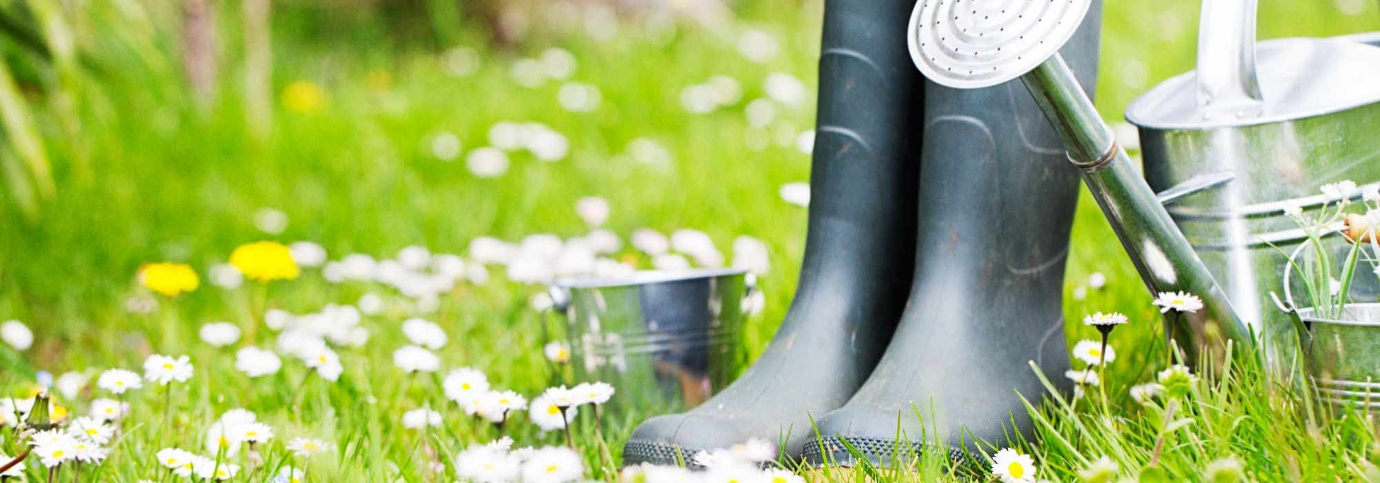 O que fazer no jardim em março?