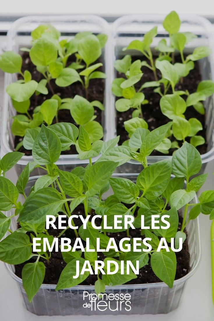 reciclar embalagens de jardinagem