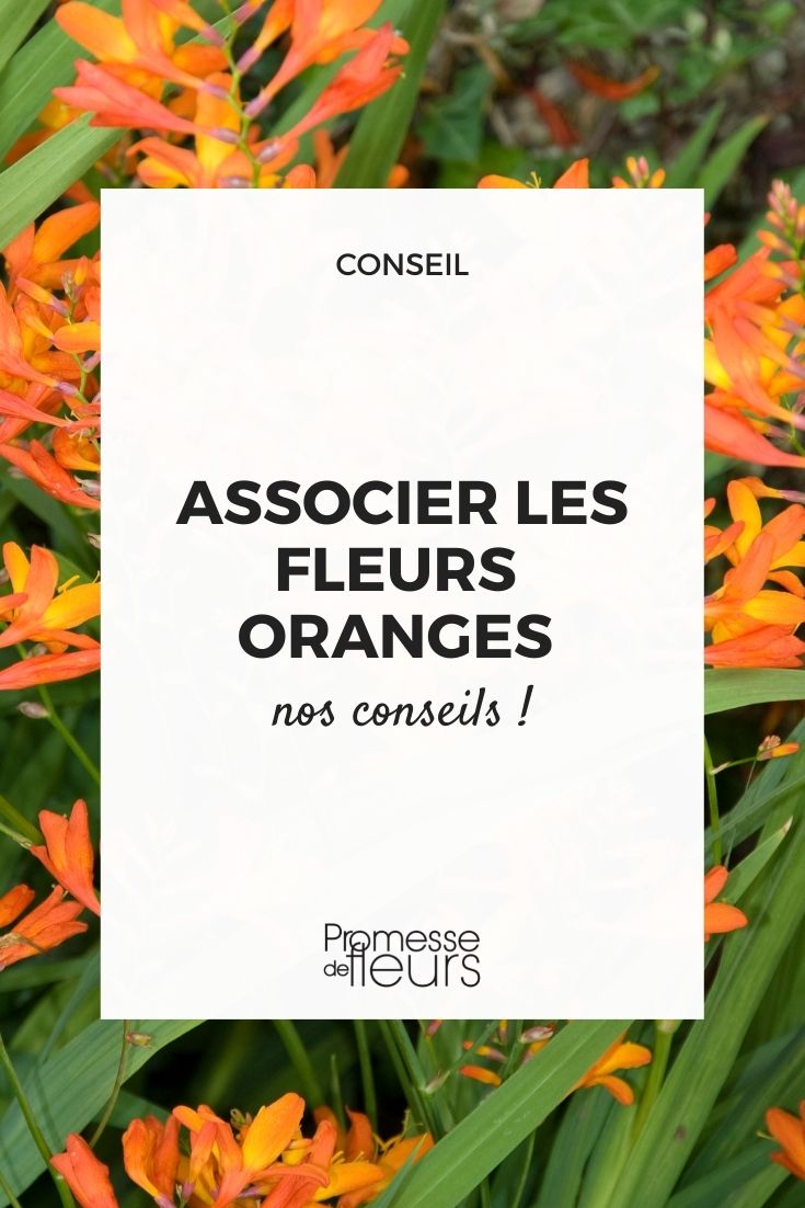 combinação de flores cor de laranja