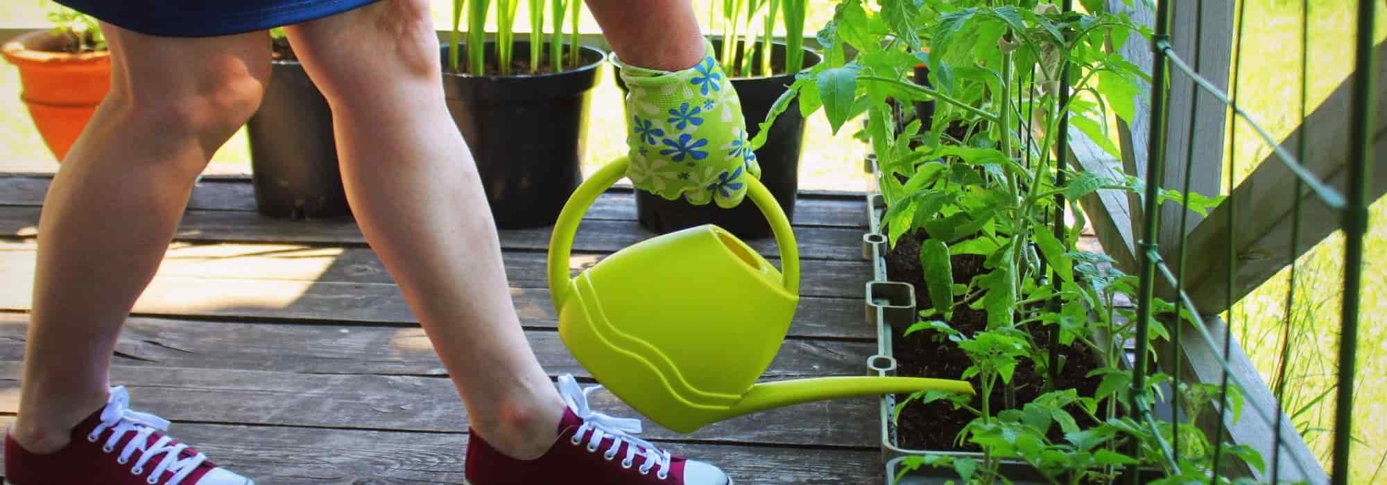 Como cultivar legumes ou frutos num terraço?