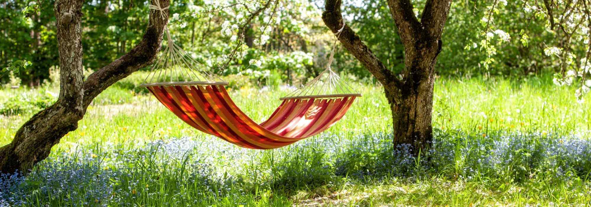 Plantar para refrescar o ar ambiente