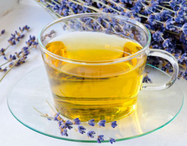 Como preparar uma infusão de alfazema?