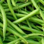 Cultivar feijão-anão