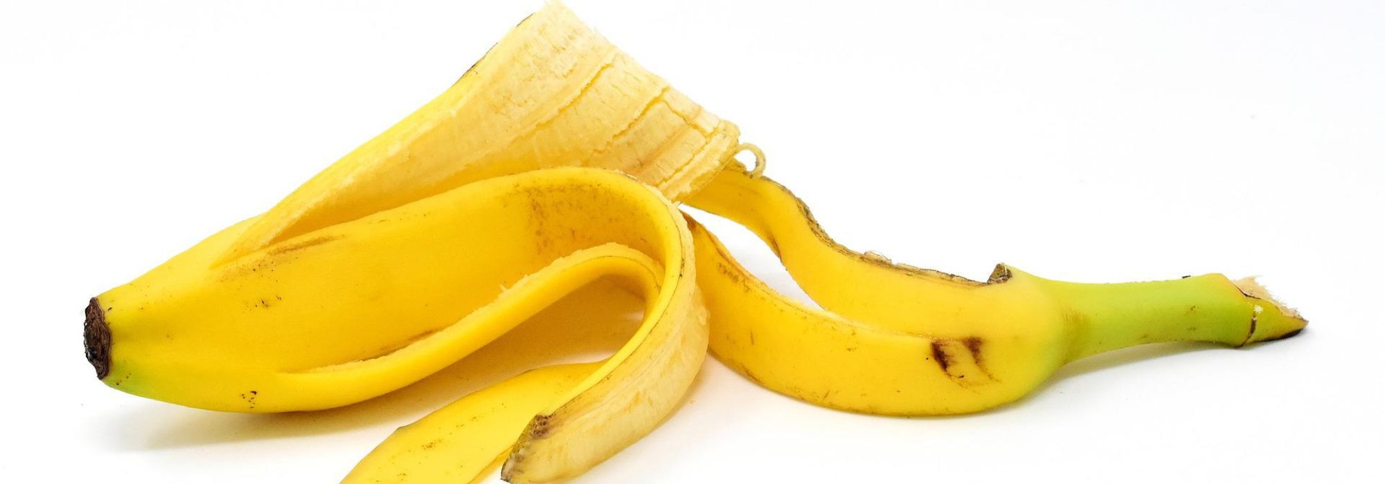Desperdício zero: a casca de banana no jardim