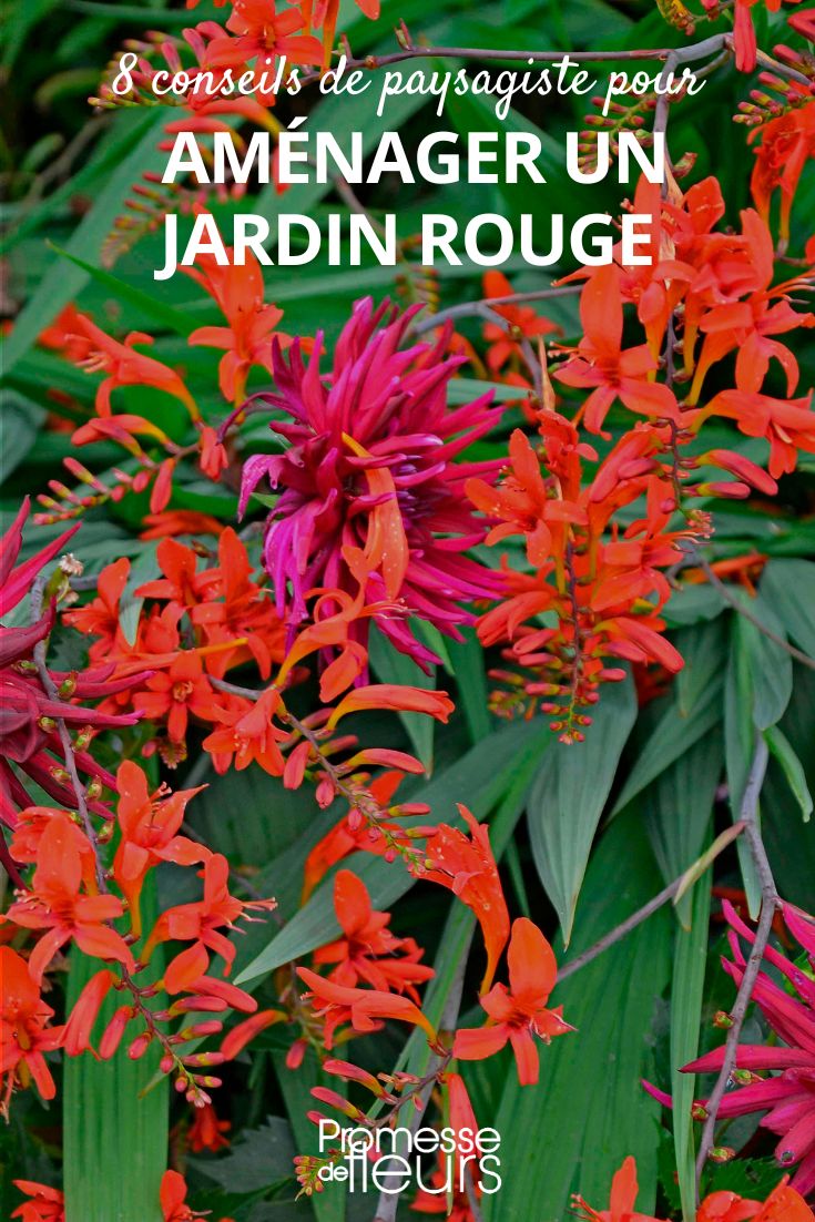 Criar um jardim vermelho