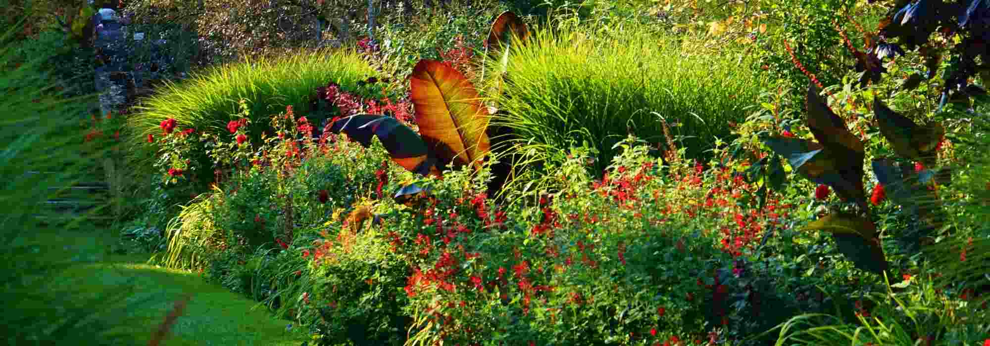 8 conselhos de paisagista para criar um jardim vermelho