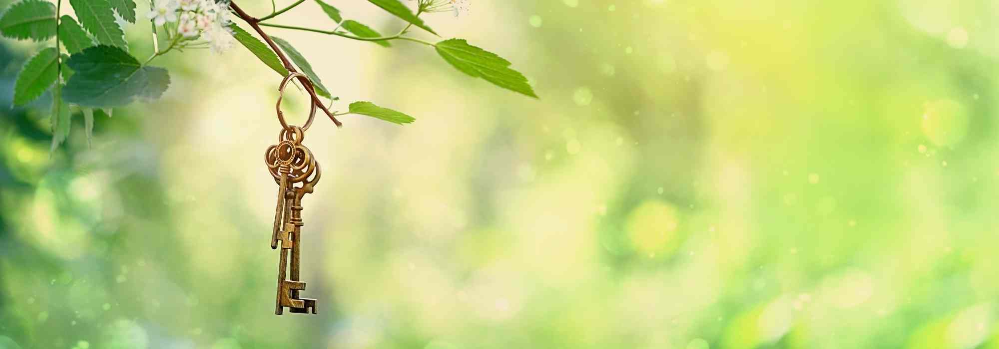 Criar um jardim secreto