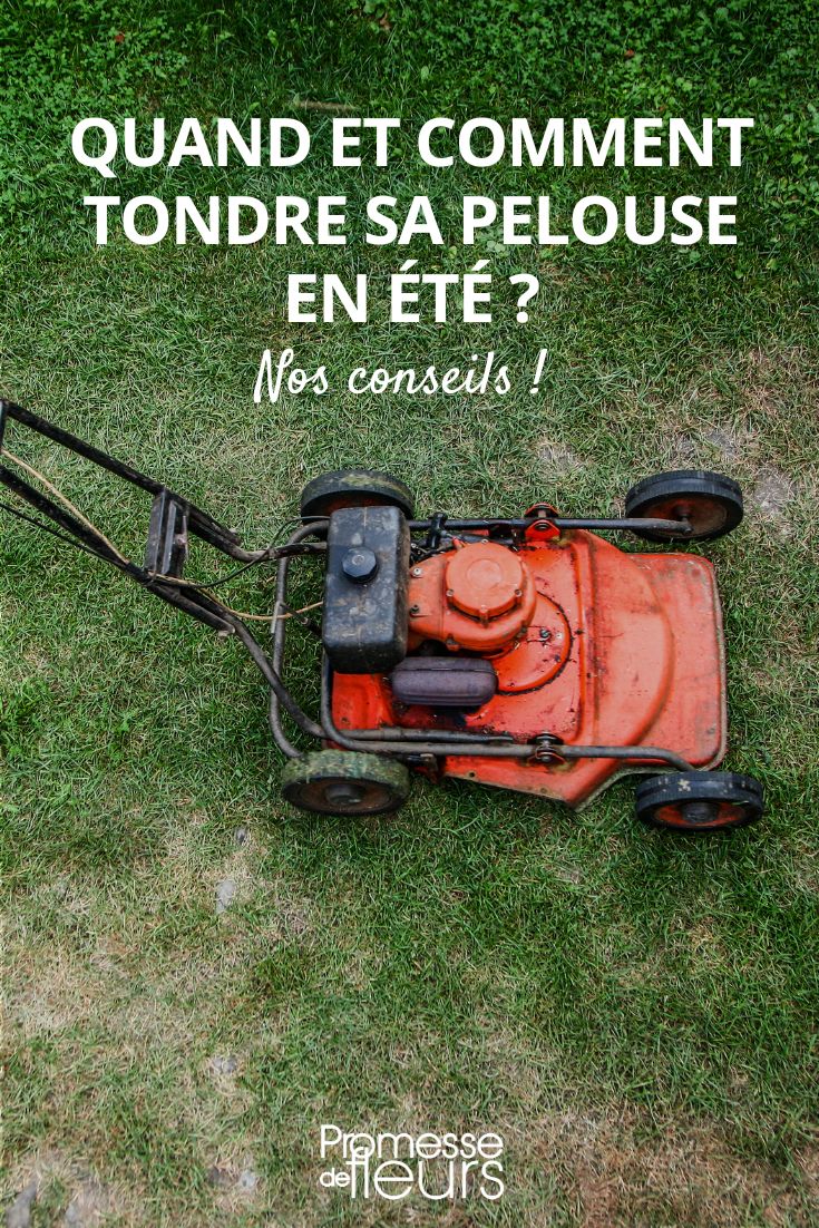 Corte da relva no verão