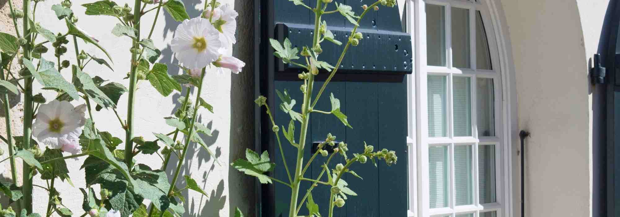 Planear um jardim para uma segunda residência