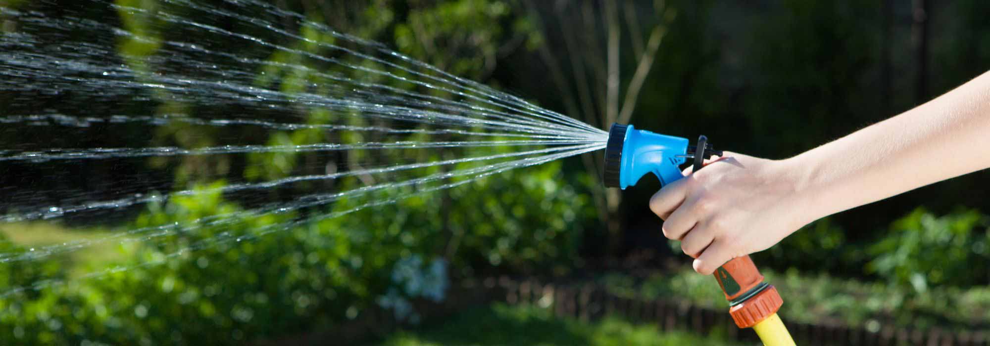 Regar o jardim durante períodos de seca: o que diz a lei?