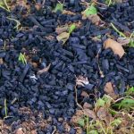 Biochar: o que é?