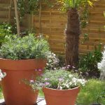 Como dispor os vasos num terraço?