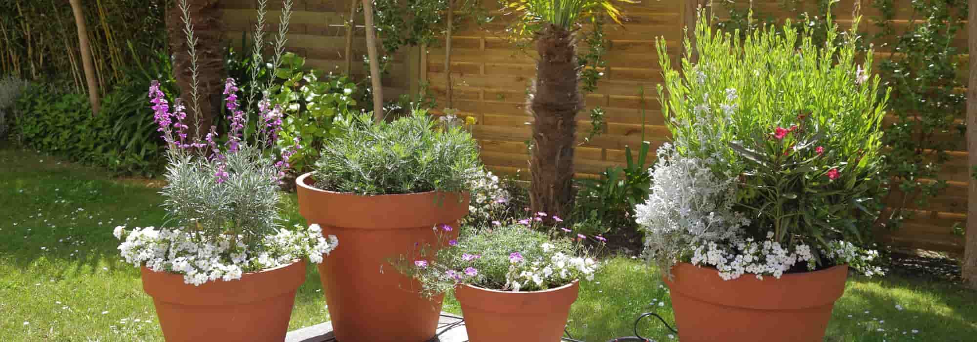 Como dispor os vasos num terraço?