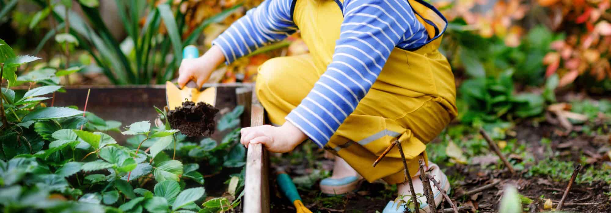 7 conselhos para começar um jardim com crianças