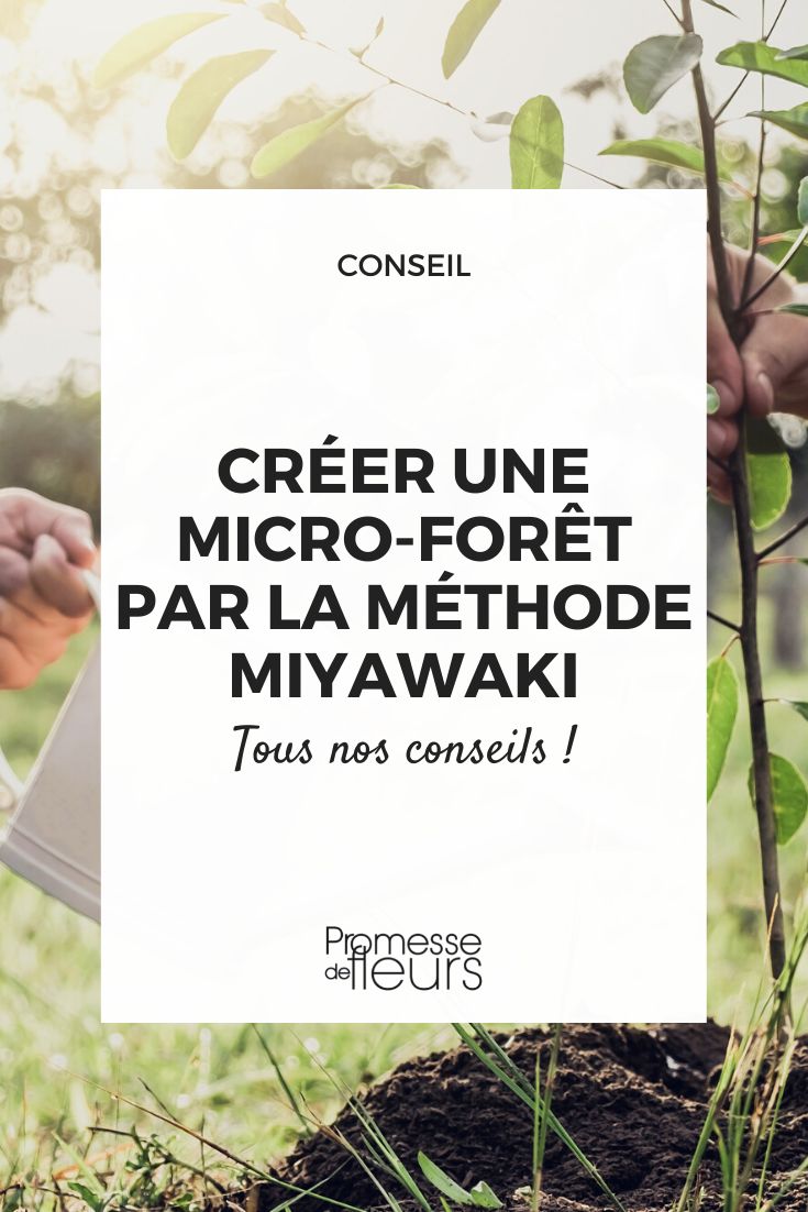 Plantação de uma microfloresta urbana