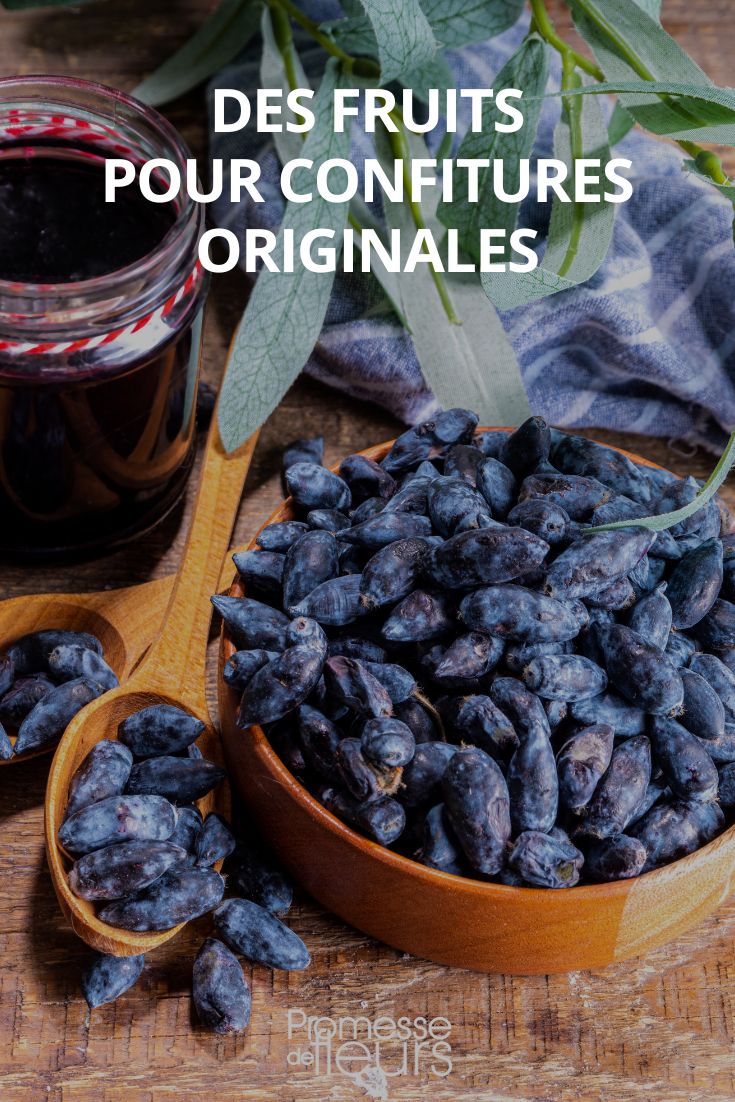 Compotas e geleias de fruta originais