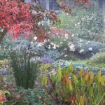 8 plantas de sombra com interesse outonal