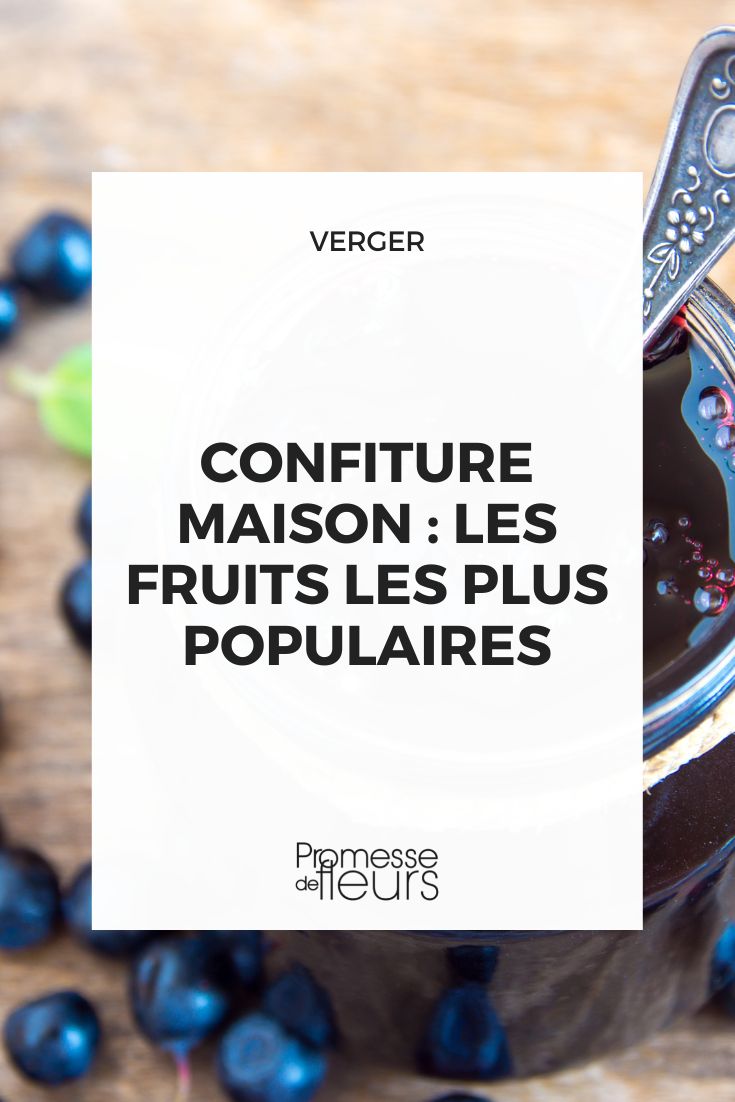 compota caseira dos frutos mais populares