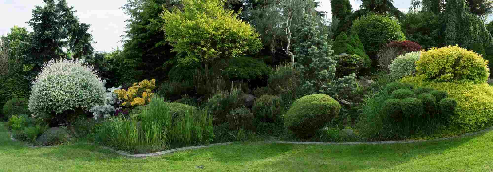 Como criar bonitas bordaduras no jardim?
