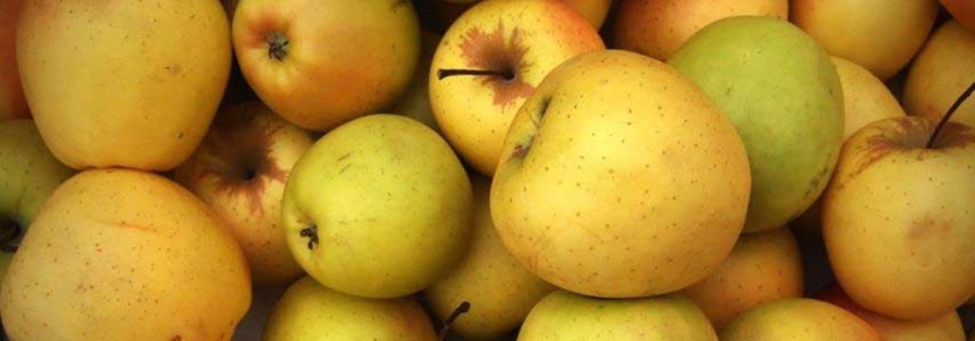 As melhores variedades de maçã para cozinhar