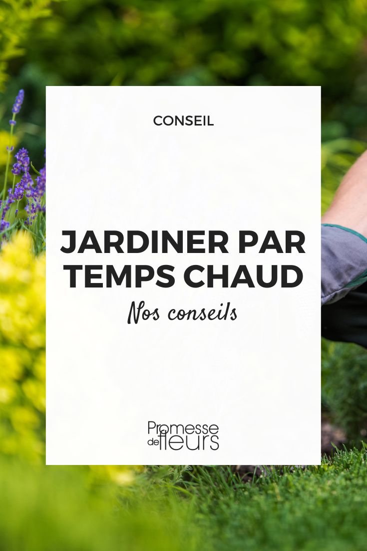 Jardinagem com tempo quente