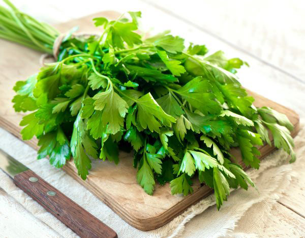 Bem conservar a sua salsa