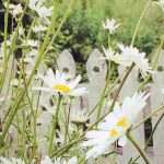 Cottagecore: a tendência que alia o jardim campestre ao espírito de descontração