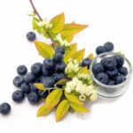 Mirtileiro 'Yello Berryblue'®