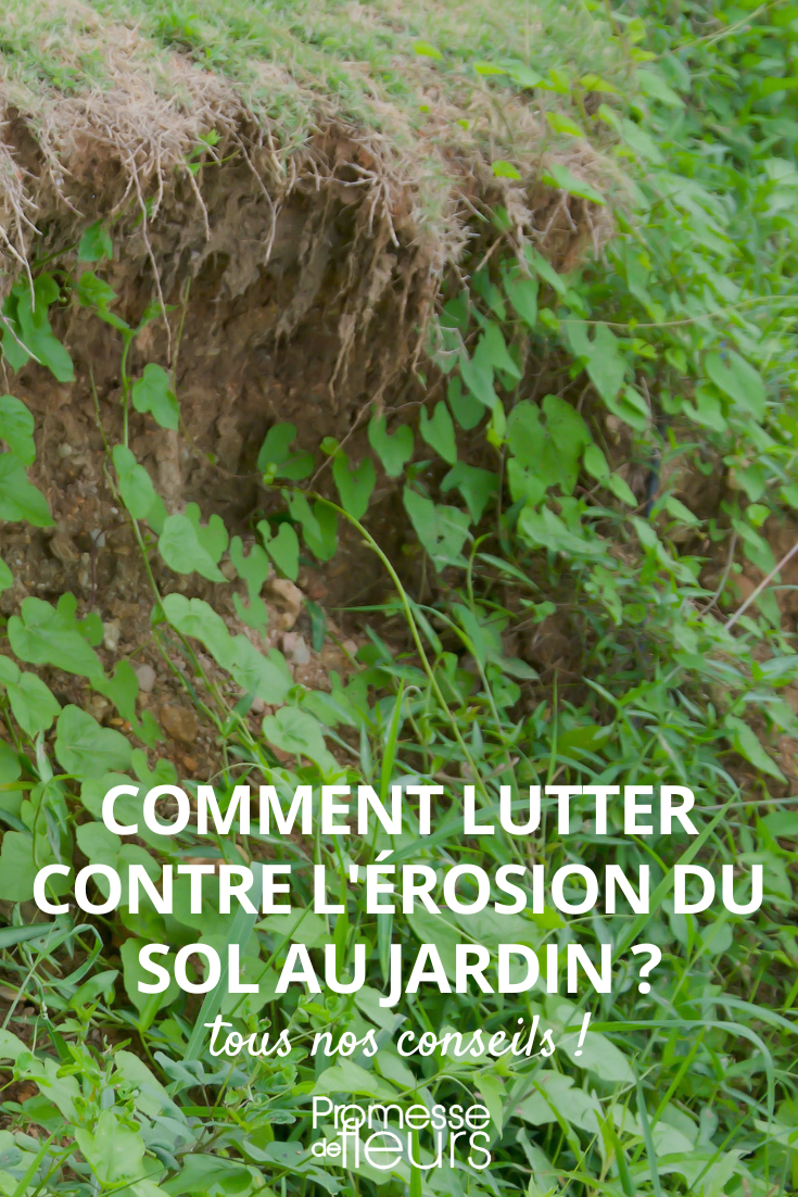 Soluções contra a erosão no jardim