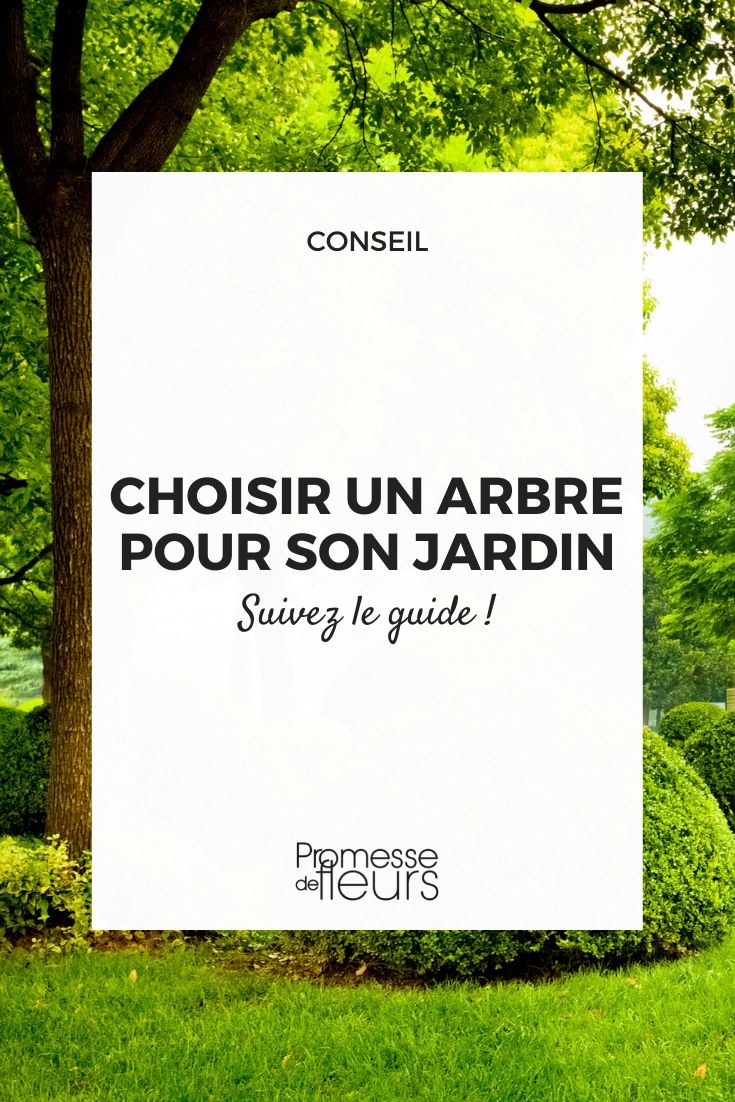 escolher uma árvore para o seu jardim