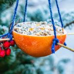 DIY: comedouros para aves