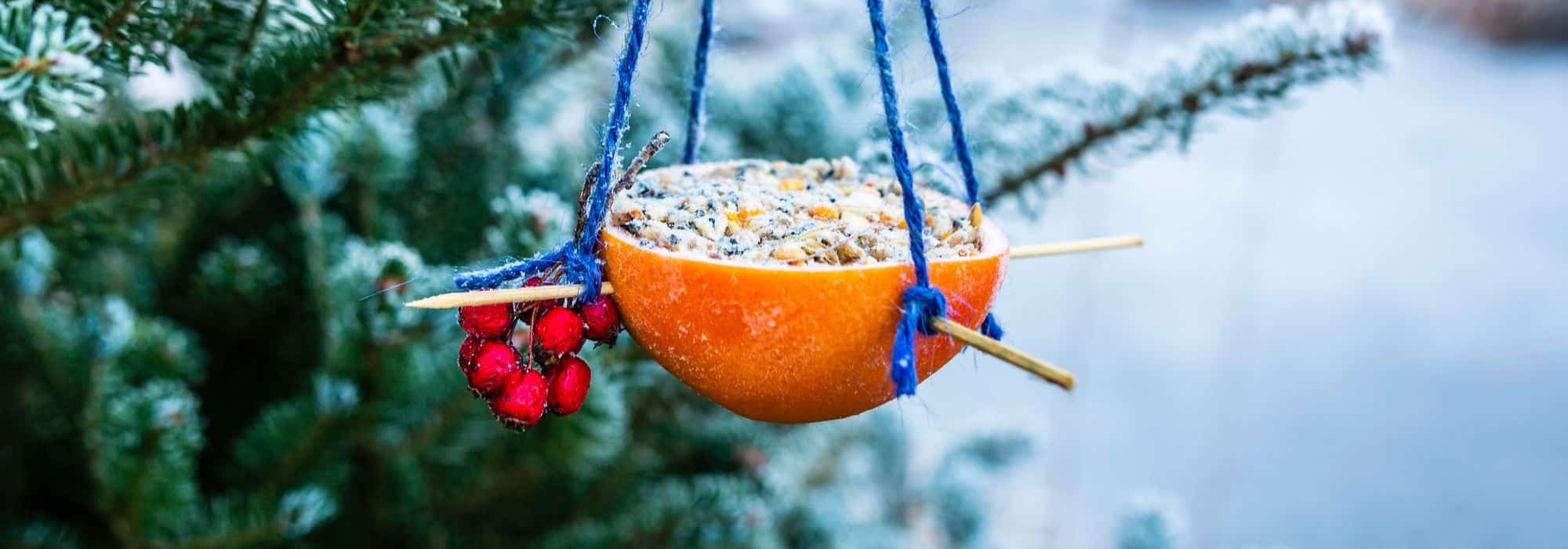 DIY: comedouros para aves