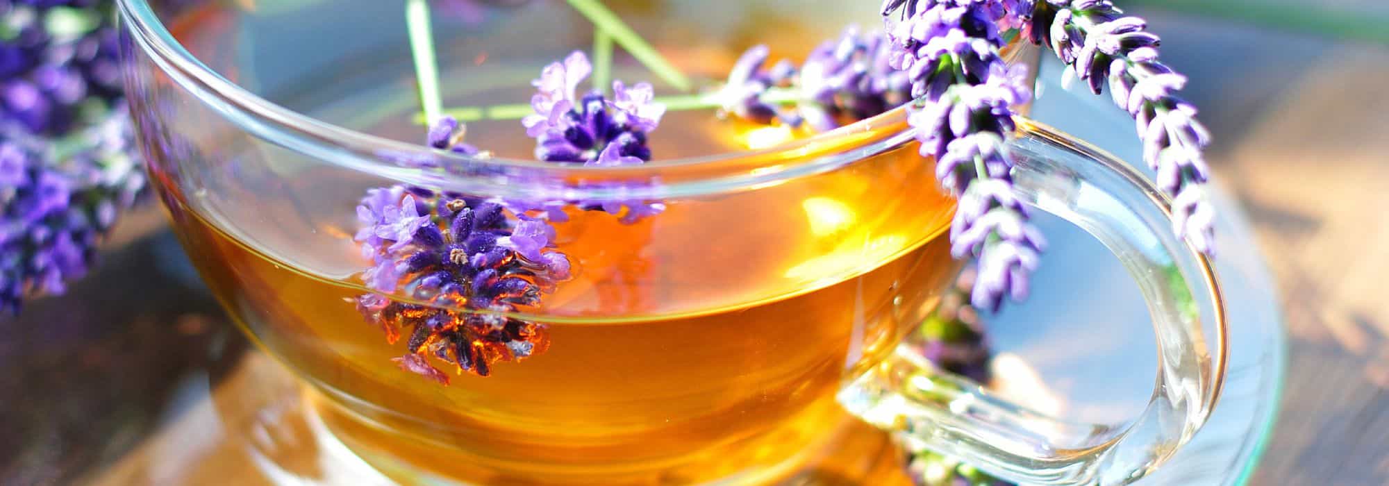 Infusões anti-desperdício