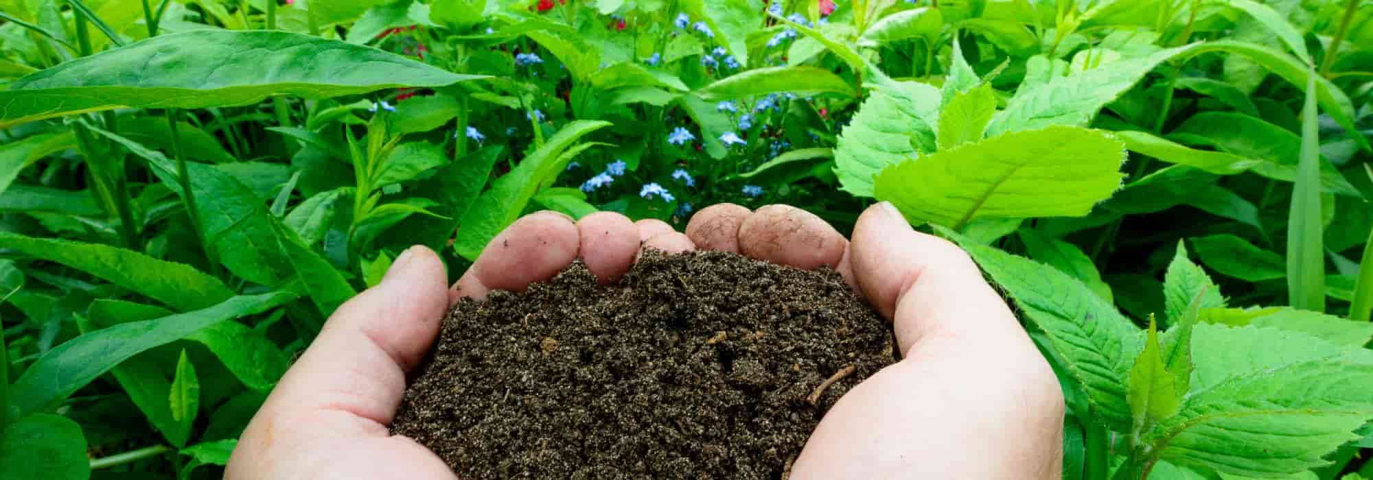 A compostagem a quente: simples e rápida