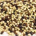 Cultivar quinoa na sua horta