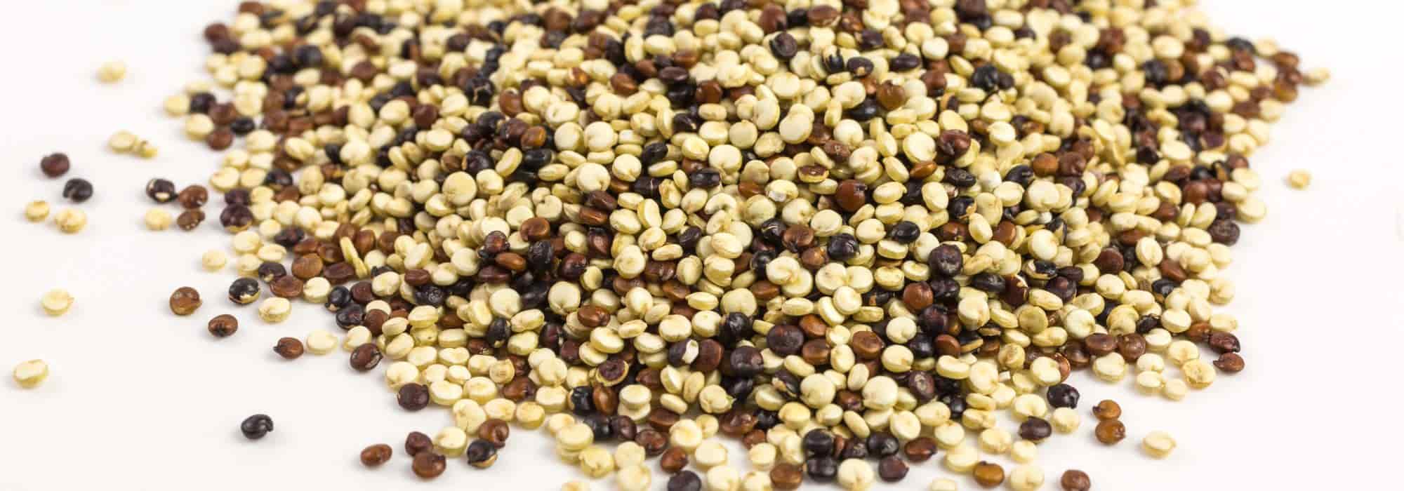 Cultivar quinoa na sua horta