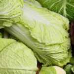 Escolher uma couve