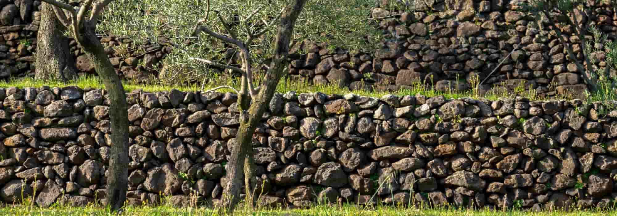 Como revestir um muro de suporte?