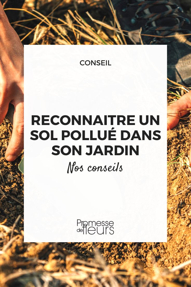 Como reconhecer um solo contaminado no jardim