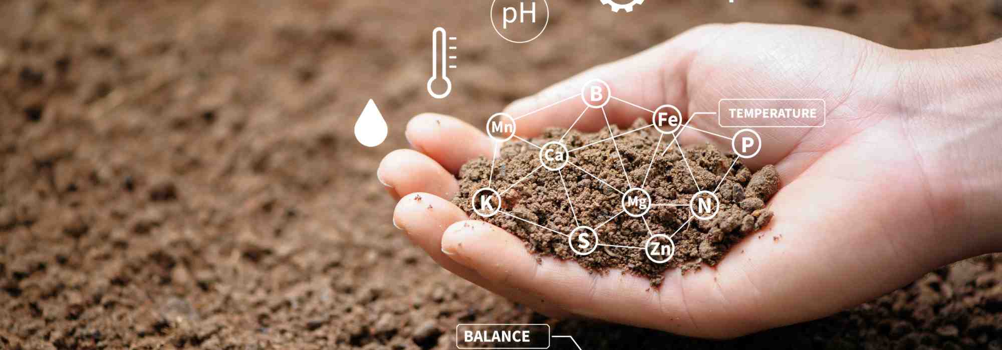 Como reconhecer um solo contaminado no jardim?
