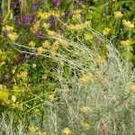 O Slow gardening