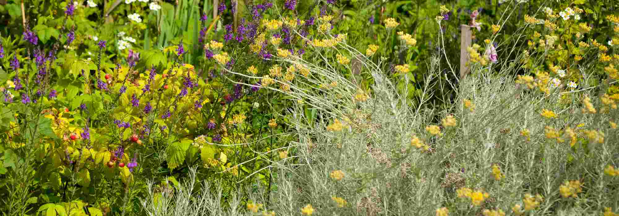 O Slow gardening