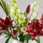 6 bolbos de verão para compor ramos de flores
