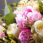 6 plantas para ramos de flores em cores pastel
