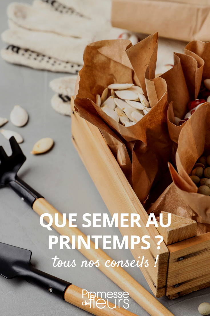 Sementeira de primavera