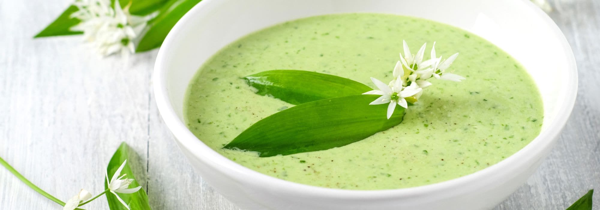 9 plantas originais para sopas saborosas